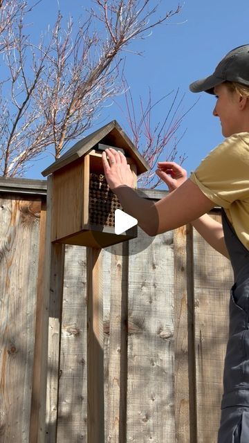 michelle | backyard farm & garden on Instagram: "It’s mason bee season! 🐝

If you’ve been following for a while, you know that every Spring I order mason bees from @crown_bees for my little backyard orchard.

I love mason bees for my backyard for a few reasons:
🌸 they’re super pollinators: 1 mason bee can do the pollinating work of 100 honey bees
🌸 they don’t travel far, staying within a 300 yard radius, so they’ll work within a backyard garden
🌸 they are gentle, rarely sting, and I find that they love to people watch!
🌸 they don’t produce honey, so there’s no work involved, just place them in their home and watch them do their work
🌸 they’re solitary bees that are native to North America (local ladies!)

What do you think? Will you get mason bees? 👩🏼‍🌾🐝

Check out Crown Bees web Mason Bee House Diy, Water For Bees, Garden Habitat, Honey Bee Farming, Backyard Orchard, Bee Farming, Heirloom Garden, Mason Bee House, Bee Houses