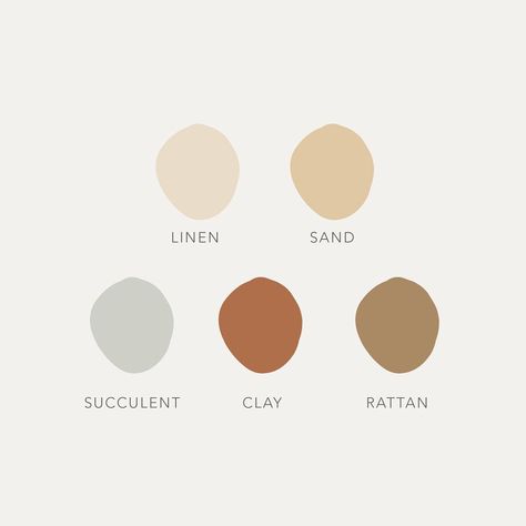 Adventure Party Theme, Sanctuary Garden, Desert Color Palette, Brand Colors Inspiration, Pallet Color, Desert Tones, Color Palette Inspiration, Desert Photography, House Color Palettes