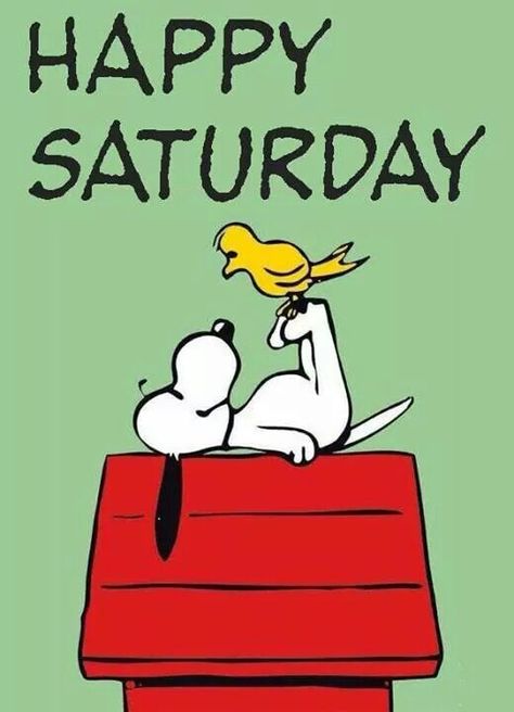 Snoopy and an early Woodstock. Happy Saturday Images, Saturday Images, Snoopy Dog, Saturday Quotes, Happy Week End, Snoopy Funny, Charlie Brown Snoopy, Snoopy Images, Peanuts Cartoon