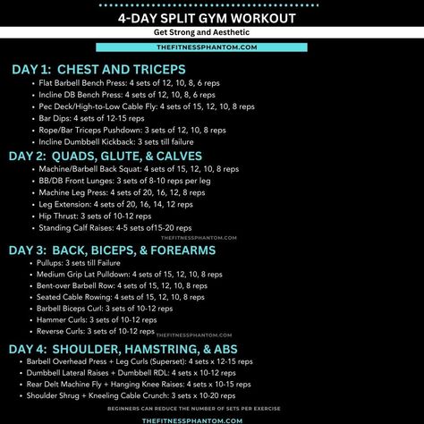 The 4-day workout split focuses on all major muscle groups within a week. It allows ample recovery time between workouts, which is crucial for building muscle and avoiding injury. The 4-day workout split can be customized to fit your fitness level and goals, with the ability to adjust weights and reps as needed. Full Routine: https://thefitnessphantom.com/4-day-gym-workout-schedule-for-gain 4 Day Split Workout Women, Workout Split Schedule, 4 Day Workout Split, Best Chest Workout Routine, 4 Day Split Workout, Weight Lifting Schedule, Gym Workout Schedule, 4 Day Workout, 3 Day Workout