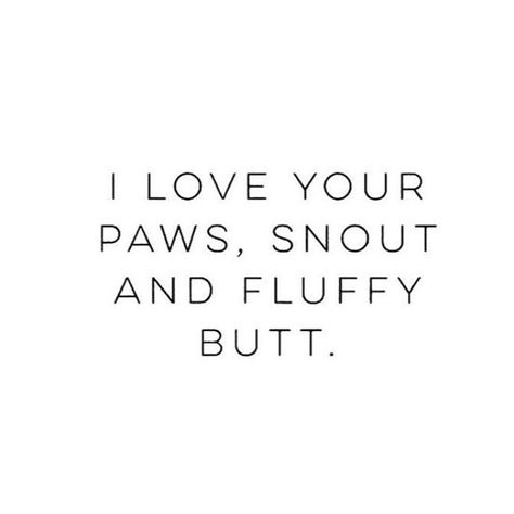 Dog Mommy Quotes, Dog Treat Instagram Captions, Dog Thoughts Quotes, Dog Letterboard Quotes, Quotes About Dogs Being Best Friends, Dogs Quotes Love, Cute Dog Quotes Short, Me And My Dog Quotes, I Love My Dog Quotes