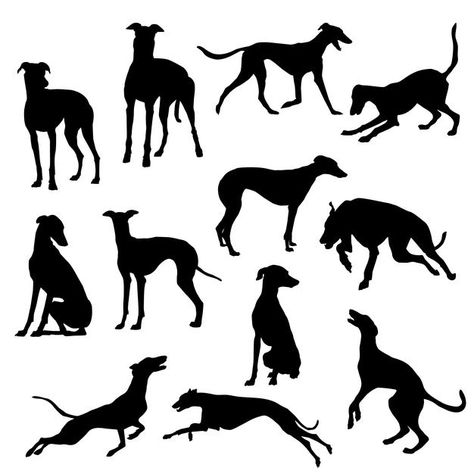 Dog Silloettes, Rio Tattoo, Graphic Moodboard, Greyhound Silhouette, Greyhound Tattoo, Greyhound Dogs, Linocut Ideas, Dogs Running, Dog Nature