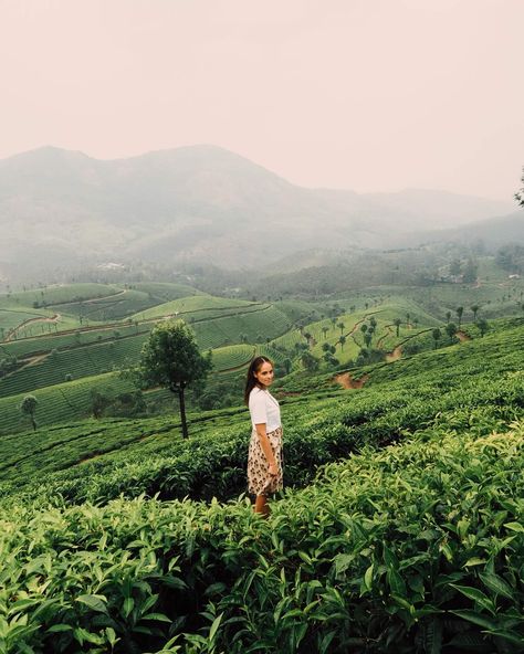 Kerala Itinerary, Tea Field, Kerala Trip, Blogger Poses, Adat Jawa, Kerala Travel, Film Ideas, Travel Pose, Cameron Highlands