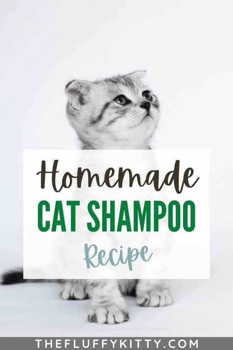 Diy Cat Shampoo, Fluffy Kitty, Pet Remedies, Essential Oils Dogs, Dog Soap, Cat Shampoo, Shampoo Recipe, Cat Bath, Pet Tips