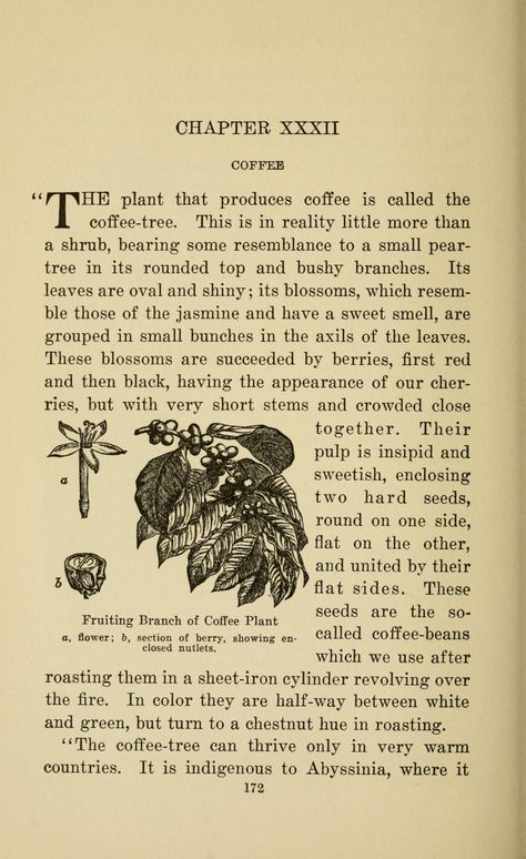 The secret of everyday things; informal talks with the children : Fabre, Jean-Henri, 1823-1915 : Free Download, Borrow, and Streaming : Internet Archive Page 404, Page Number, Boston Public Library, Internet Archive, Free Download, The Borrowers, The Secret