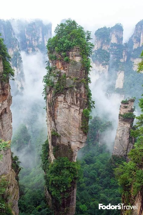 Zhangjiajie, Architecture Nature, Tropical Salad, Banana Milkshake, Grilled Mushrooms, Tomato Sandwich, Grilled Tomatoes, Energy Snacks, High Calorie Meals