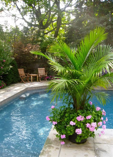 Plants Around Pool, Outdoor Pool Decor, Palm Trees Garden, Amazing Pools, Pool Plants, Front Porch Flowers, Poolside Decor, Summer Planter, Porch Flowers