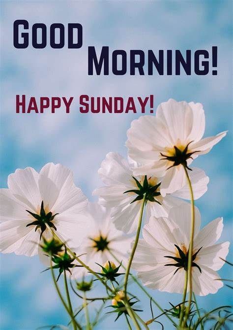 Good Morning, Y'all! Happy Sunday! #goodmorning #dailygreet #happysunday #happiness #joy #happiness #newweek #freshstarts #getstuffdone #nature #outdoors #relax #recharge #smile School Banner, Nature Images, New Week, Sunday Morning, Happy Sunday, Getting Things Done, Banner Design, Good Morning, Nature