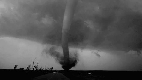 Tornado Nature, Tornado Wallpaper, Val Core, One Punch Man Wallpapers, Tornado Gif, Tornado 250, Stimboard Gifs, Water Spouts, Running Gif