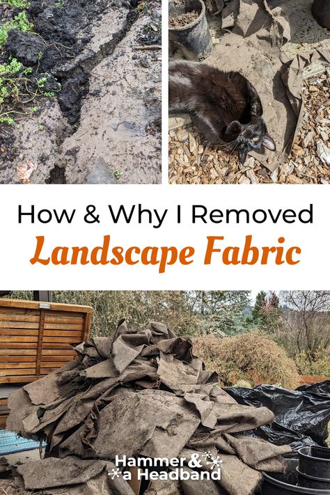 How To Lay Rocks For Landscaping, Landscape Transitions, Landscape Fabric Alternative, Landscape Fabric How To Lay, Using Landscape Fabric In Garden, Landscaping Rock Glue, Landscape Fabric Under Rocks, Landscape Rock Glue, Cleaning Landscape Rock