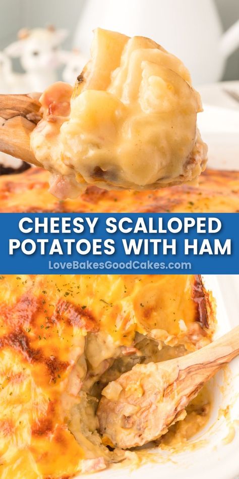 Cheesy Scalloped Potatoes and Ham pin collage Ham And Cheese Potato Bake, Ham And Cheesy Scalloped Potatoes, Scalloped Potatoes And Ham Recipes, Ham Potato And Onion Casserole, Taste Of Home Scalloped Potatoes And Ham, Cheesy Ham And Scalloped Potatoes, Easy Ham And Scalloped Potato Casserole, Scalloped Potatoes And Ham For Two, Easy Cheesy Scalloped Potatoes And Ham