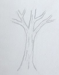 Simple Trees To Draw, How To Draw A Tree Trunk Step By Step, Drawings Of Trees Easy, Drawing Trees Step By Step Pencil, Pictures Of Trees To Draw, How Draw Tree, Sketching Trees For Beginners, Drawing A Tree Easy, Easy Tree Drawing Step By Step