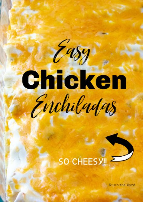 Chicken Videos, Easy Chicken Enchiladas, Easy Chicken Enchilada Recipe, Cheesy Chicken Enchiladas, Easy Enchiladas, Creamy Chicken Enchiladas, Chicken Enchiladas Easy, Chicken Enchilada Casserole, Walnut Recipes