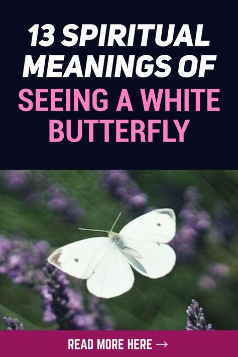 White Butterflies Meaning, Seeing White Butterflies Meaning, White Butterfly Meaning, Purity Symbol, Butterfly Symbolism Meaning, White Butterfly Spiritual Meaning, Butterfly Color Meaning Spiritual, Butterflies Meaning Spiritual, Butterfly Meaning Spiritual