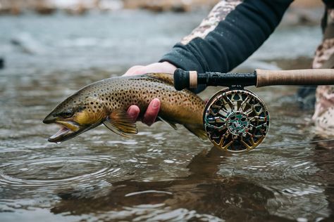 Tips and tricks to improve your chances when fishing nymphs in the winter time. Trout Fishing Tips, Fishing Photography, Fly Fishing Tips, Fishing Pictures, River Fishing, Fishing Girls, Rainbow Trout, Fishing Life, Rod And Reel