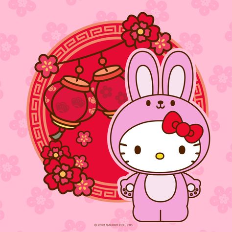 Cordoba, Kawaii, New Year's Drawings, Kitty Items, Hello Kitty Images, Hello Kitty Aesthetic, Hello Kitty Christmas, Happy Lunar New Year, Chinese Cartoon