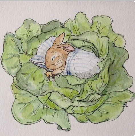 Beatrix Potter Mouse Illustrations, Animals Sleeping Drawing, Vintage Cute Illustration, Vintage Children's Books Illustrations, Peter Rabbit Drawing, Peter Rabbit Aesthetic, Beatrix Potter Aesthetic, Children's Books Illustration, Vintage Animal Illustration