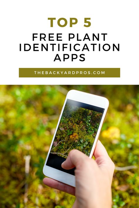 🌱 Lost in the wilderness of plant identification? Fear not! 🧭 Discover the 5 FREE apps that turn your smartphone into a pocket-sized plant encyclopedia. From backyard blooms to wild wonders, these apps make identifying plants a breeze. Elevate your nature walks, garden adventures, and outdoor explorations with the perfect digital companions. Embrace the green revolution at your fingertips! 📲🌿 #PlantIDApps #OutdoorAdventures #NatureTech Identify Plants By Leaves, Plant Identifier App Free, House Plant Identification, Identifying Plants, Planting Grass Seed, Plant Identification App, Identify Plants, Food Foraging, Plant App