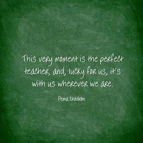 This very moment is the perfect teacher, and, lucky for us, it's with us wherever we are. — Pema Chödrön Quotes About Presents, Pema Chodron Quotes, Pema Chödrön, Fully Alive, Pema Chodron, Buddhist Wisdom, Buddhism Quote, Meditation Quotes, Present Moment