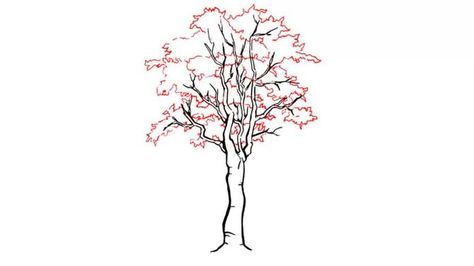 Hoe teken ik een boom (wikihow). How To Draw Trees, Leaves Tutorial, Draw Trees, Boom Kunst, Draw Realistic, Drawing Tutorials For Beginners, Fantasy Drawings, Tree Drawing, Deciduous Trees