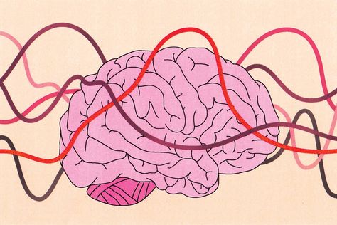 During menstrual cycles, a woman’s brain changes. New research shows that the volume or thickness of certain regions change in sync with hormone levels. Four Stages Of Menstrual Cycle, Human Growth Hormone Women, Purple Moon Menstrual Cycle, Menstrual Cycle Phases, Women’s Hormone Phases, Follicle Stimulating Hormone, Women’s Hormone Cycle, The Menstrual Cycle, Progesterone Levels