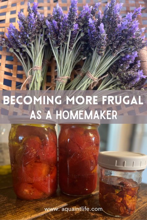 Frugal Aesthetic, Cottagecore Things, Homestead Skills, Frugal Hacks, Frugal Homemaking, Survival Food Storage, Homesteading Tips, Budgeting Ideas, Happy Homemaking