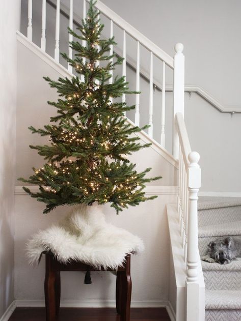 Amazing Christmas Trees, Small Christmas Tree, Christmas Decor Inspiration, Christmas Tablescape, Unique Christmas Trees, Tabletop Christmas Tree, Cool Christmas Trees, Small Christmas Trees, Minimalist Christmas