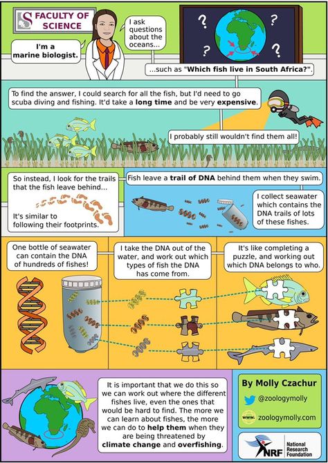 Our Favourite Graphical Abstracts Swamp Theme, Abstract Example, Giant Salamander, Abstract Science, Conference Poster, Marine Biologist, Bond Films, Computer Software, Visual Representation