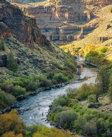 Cascadia Explored on Instagram: “Location: Deschutes River, Oregon Photographer: @extreme_oregon• The Deschutes is a natural jewel in the heart of our community. But many…” Tattoo Collage, Wanderlust Aesthetic, Deschutes River, Rogue Wave, Tears In Heaven, National Park Road Trip, Urban Aesthetic, River Art, Pretty Landscapes