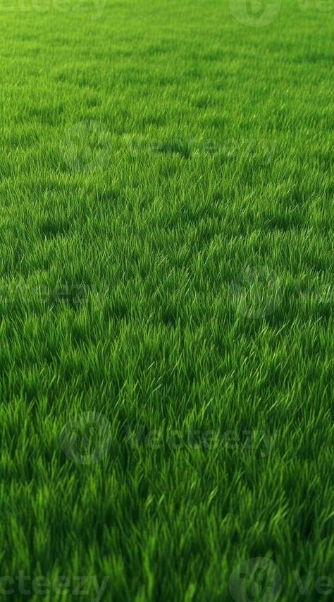 AI Generative Wide format background image of green carpet of neatly trimmed grass Beautiful grass texture on bright green mowed lawn field grassplot in nature Green Grass Wallpaper, Mowed Lawn, Grass Texture, Green Grass Background, Linkedin Background, Grass Background, Grass Wallpaper, Lee Miller, Frame Gallery