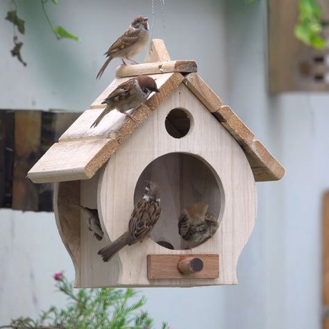 House Birds Pets, Painted Wood Bird Houses, Small Wood Projects Awesome Ideas, Wood Bird House, Cool Bird Houses, Popsicle Stick Crafts House, Wood Bird Feeder, Tre Kunst, Handmade Wood Crafts