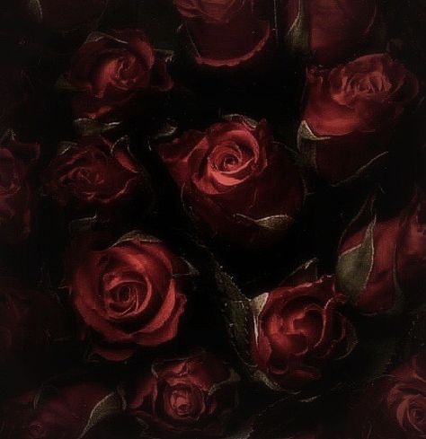 Become A Florist, Blood Art, Rosé Aesthetic, Gothic Aesthetic, K R, Flower Therapy, Historical Art, Brown Aesthetic, Red Aesthetic