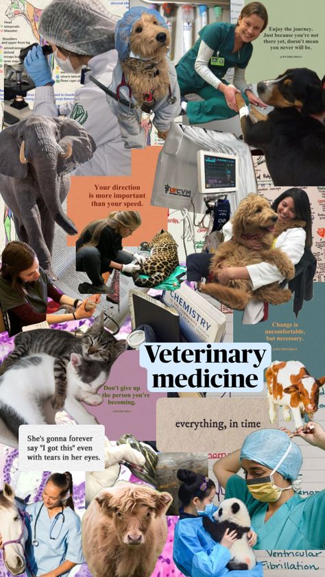 #myfirstshuffle #vetmed #animals #dogtor #quotes Veterinary Study, Vet Pictures, Vet School Motivation, Vet Tech School, Medical School Quotes, Vet Tech Student, Large Animal Vet, Vet Medicine, My Future Job