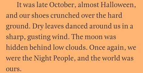 Only 3 weeks until Halloween!!! 🎃🖤 October Country, Dry Leaves, Who People, Writing Stuff, Season Of The Witch, Fall Inspo, Stay The Night, Changing Seasons, Months In A Year