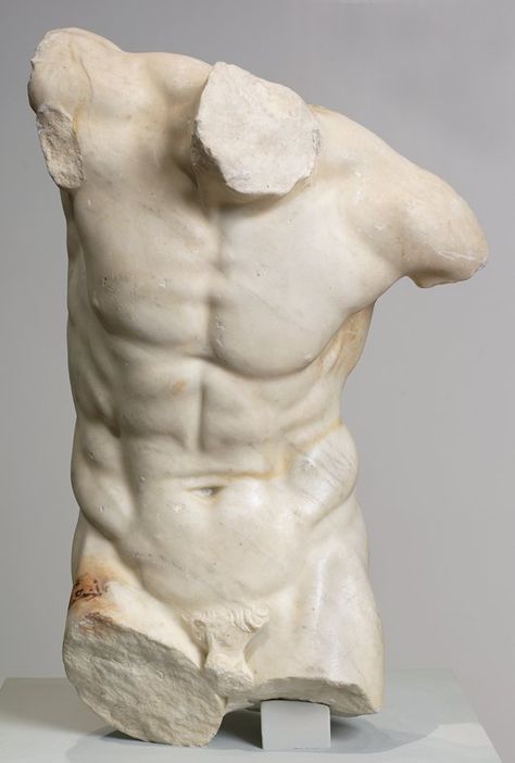 Torso of a Dancing Faun Artist Unknown (Graeco-Roman) (Italy/Greece, Europe), 1st century Marble Anatomy Sculpture, Roman Statue, Classic Sculpture, Greek Statues, Roman Sculpture, Male Torso, Greek Sculpture, Ancient Sculpture, 1st Century