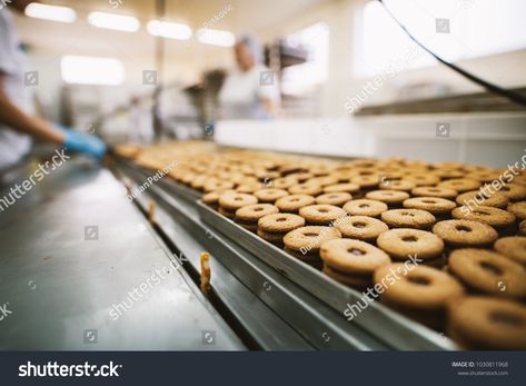 Cookie factory, food industry. Fabrication. Cookie production. Royalty Free image photo Factory Photography, Cookie Factory, Food Factory, Santa Cookie, Santa Cookies, Food Industry, Secret Santa, Royalty Free Photos, Free Image