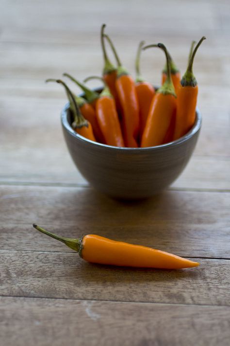 Orange Thai Chili Peppers - very similar to the typical red Thai-style chili pepper. A medium-hot fruity pepper. ChiliPepperMadness.com Thai Chili Peppers, Chili Plant, Thai Peppers, Thai Chili Pepper, Chili Pepper Recipes, Red Thai, Thai Chili, Orange Peppers, Unique Vegetables