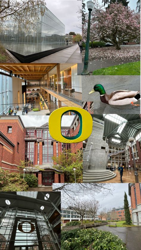 #university #oregon #UofO #duck Oregon University, Oregon College, Oregon Life, College Majors, Dream College, Uni Life, Dream School, University Of Oregon, Oregon Ducks