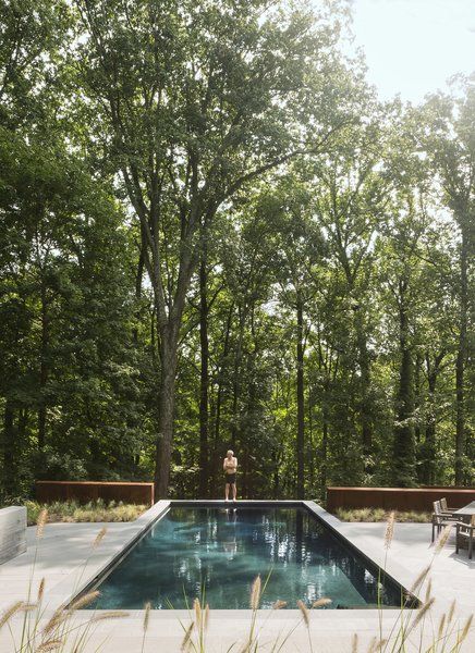 Outdoor, Trees, Shrubs, Large Patio, Porch, Deck, Back Yard, and Swimming Pools, Tubs, Shower In back, the swimming pool abuts a steep drop-off. Photo 8 of 14 in After a Fire, a Maryland Couple Turn to Charred Wood to Rebuild Their House Cool Swimming Pools, Charred Wood, Concrete Pool, Residential Architect, Modern Pools, Casa Exterior, Swimming Pool Designs, Garden Pool, Pool Decks