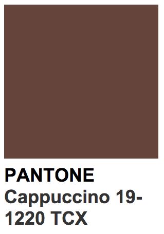 Pantone 19-1220 TCX Cappuccino Boy Choy, Green Lily, Pantone Palette, Pantone Colour Palettes, Colour Theory, Pantone Colors, Pretty Pics, Branding Ideas, Blog Inspiration