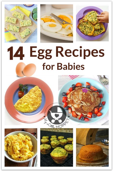 Moms are always in a hurry to introduce eggs to their babies! Here are 14 egg recipes for babies, including egg yolks as well as whole eggs. via @MyLittleMoppet Recipes For Babies, Baby Food Combinations, Finger Food Recipes, Eggs For Baby, Baby Finger Foods, Baby Finger, Breastfed Baby, Homemade Baby Food, Egg Yolks