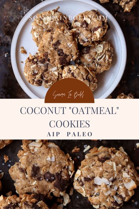 Aip Sweets, Aip Treats, Aip Snacks On The Go, Aip Oatmeal Cookies, Paleo Cookie Recipes, Aip Snacks Store Bought, Aip Recipe, Aip Cookie Recipe, Aip Snacks