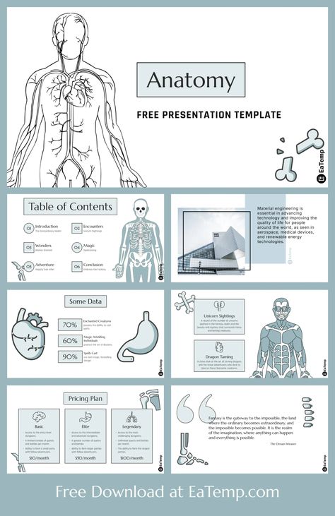 Unique Anatomy PowerPoint Template is a creative & modern design with 40 unique slides. Perfect for medical presentations, scientific conferences, and educational Visual Aids Ideas For Presentations, Google Slides Ideas, Slide Themes, Google Slide Templates, Medical Presentation, Ap Us History, Presentation Ideas For School, Ppt Template Design, Free Powerpoint Presentations