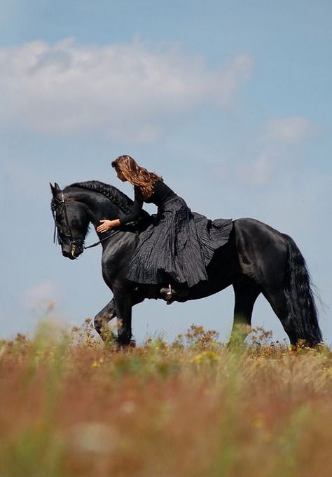 Friesian Stallion, Wilde Westen, Black Horses, Friesian Horse, All The Pretty Horses, Horse Crazy, Appaloosa, Black Horse, Pretty Horses