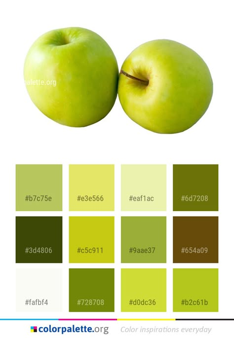 A nice green colour palette for apples.  Original found here: colorpalette.org/produce-fruit-apple-color-palette/ Apple Color Palette, Green Branding, Website Color Palette, Colors Inspiration, Stunning Hairstyles, House Design Pictures, Neutral Paint Colors, Gardens Design, Wall Painting Decor