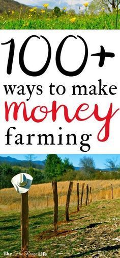 Starting A Farm, Farming Ideas, Symbole Viking, Homesteading Diy, Homestead Farm, Quit Your Job, Farm Business, Football Tips, Homesteading Skills