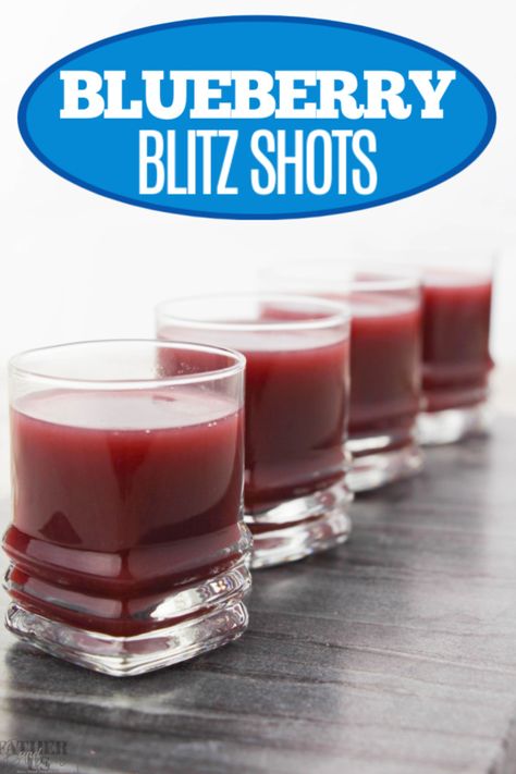 This is one of those cocktails that would work great for a summer party or a holiday Christmas party. Easy to make cocktail that the whole crowd can enjoy! #cocktailrecipe #blueberrydrinks #shots Blueberry Blitz, Blueberry Drinks, Blueberry Vodka, Easy To Make Cocktails, Winter Drink, Shots Alcohol, Party Shots, Vodka Shots, Refreshing Summer Drinks