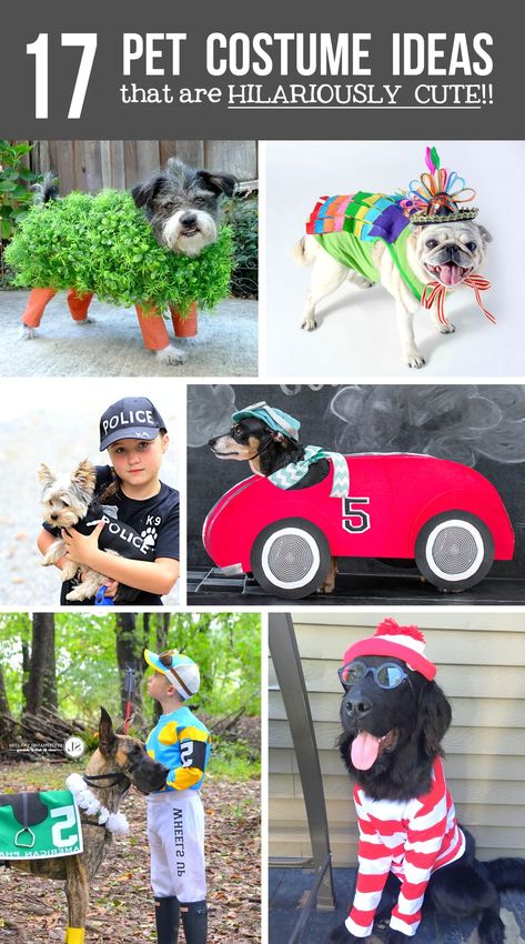 Pet Costume Ideas, Diy Pet Costumes, Dog Halloween Outfits, Pet Costumes For Dogs, Funny Pet Costumes, Best Dog Costumes, Costumes For Dogs, Cute Dog Costumes, Dog Costumes Funny