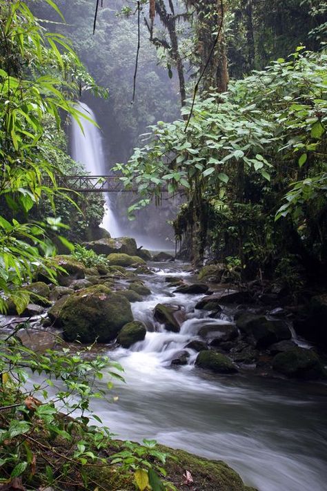 Costa Rica Waterfall, Famous Gardens, Tivoli Gardens, Hidden Beauty, Fairy Queen, Water Resources, Beautiful Waterfalls, Nature Reserve, Positano