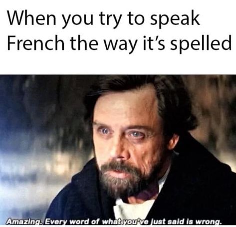 French Meme, Funny French, Teacher Memes, Memes Sarcastic, I Apologize, School Memes, How To Speak French, Crazy Things To Do With Friends, I Understand